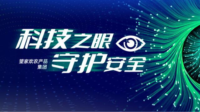 望家欢:以“科技之眼”守护四方安全