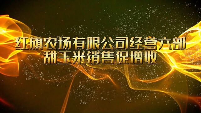 红旗农场有限公司经营六部甜玉米销售促增收