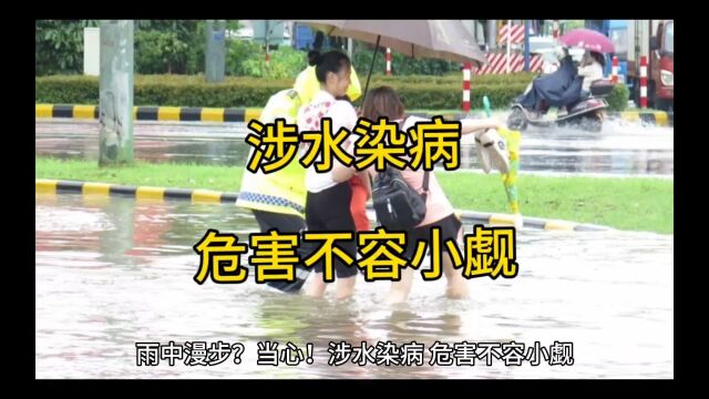 雨中漫步?当心!涉水染病,危害不容小觑