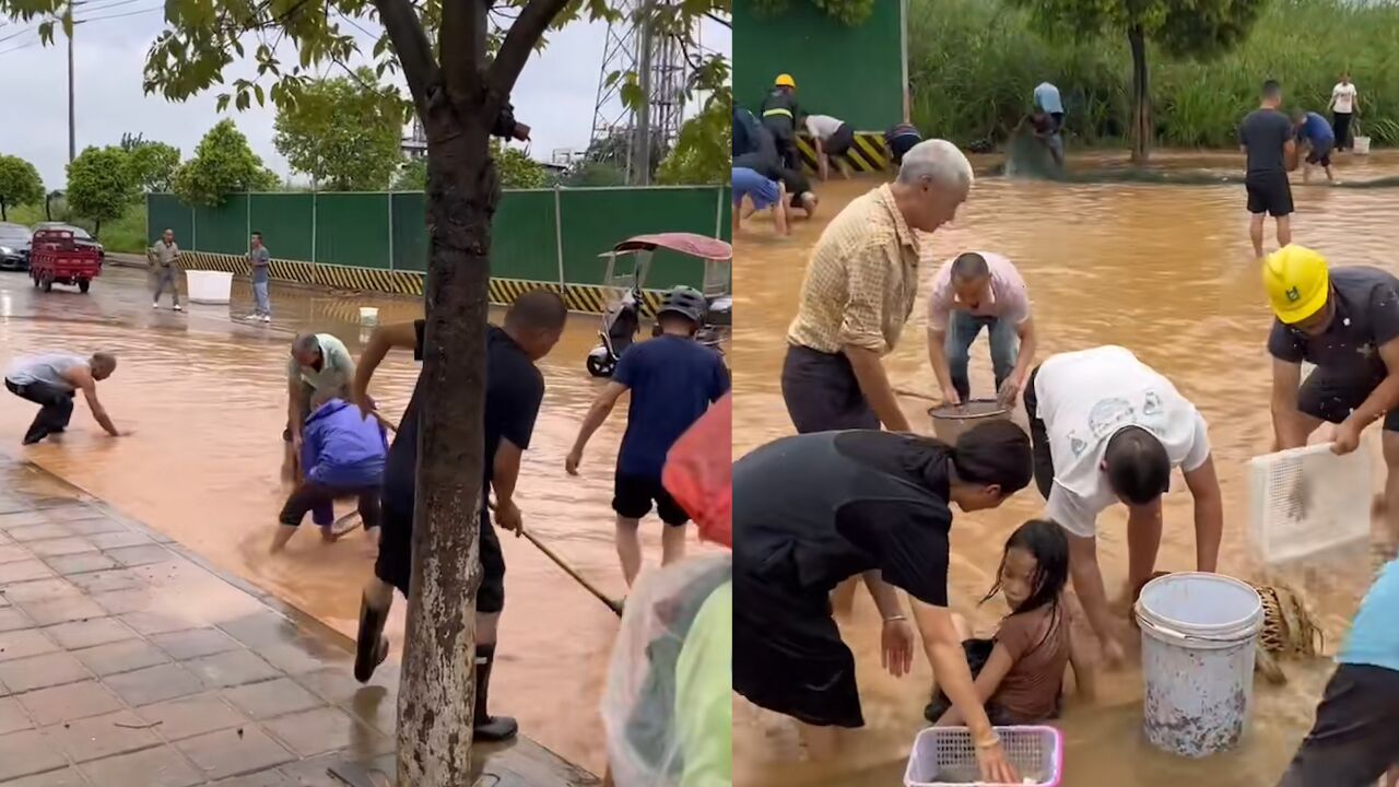 成都新津区暴雨积水,市民马路上抓鱼:大的有三四斤