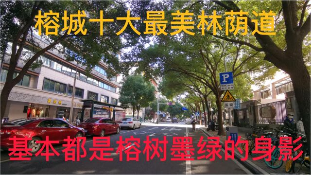 实拍福州市鼓东路,榕城十大最美林荫道,基本都是榕树墨绿的身影