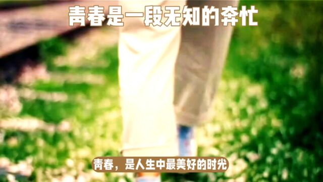 青春是一场无知的奔忙,总会留下许多遗憾