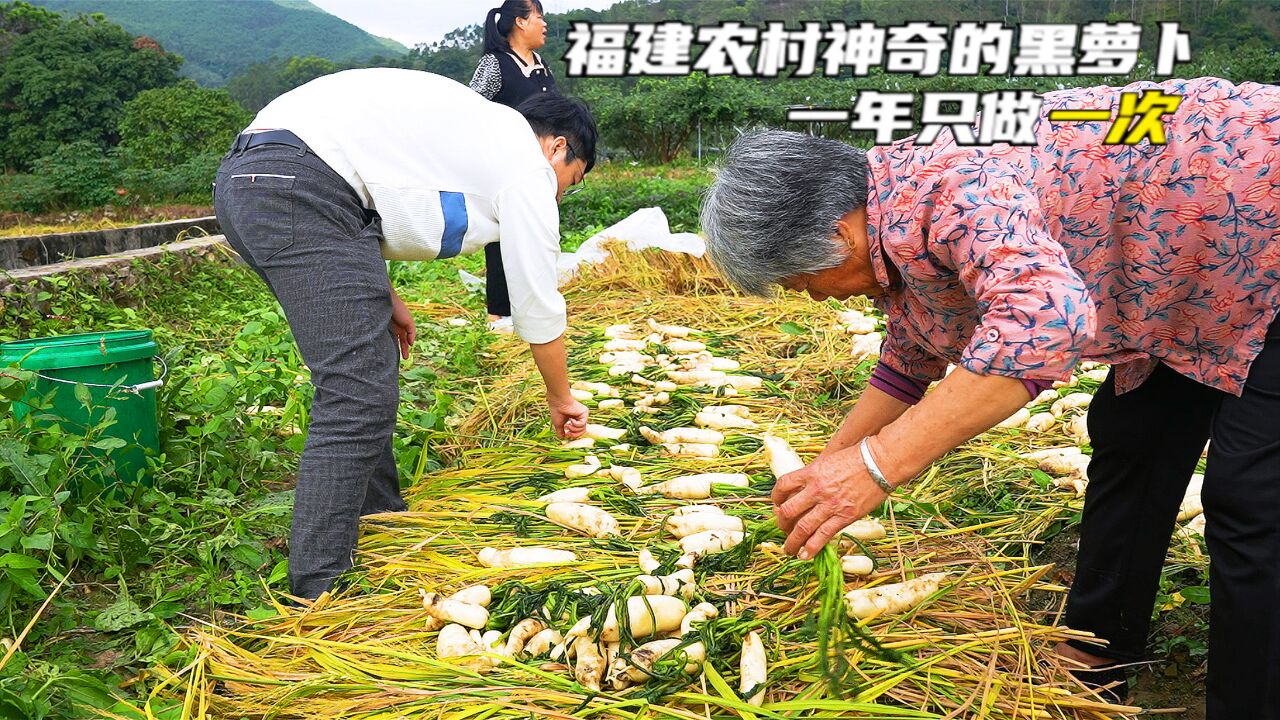 福建农村号称“赛人参”萝卜,藏20年可当传家宝,可炖肉煮汤好吃