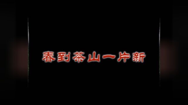 大秦岭里的茶山养生谷