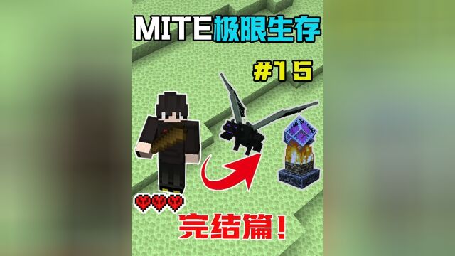 MITE极限生存15:完 了#我的世界