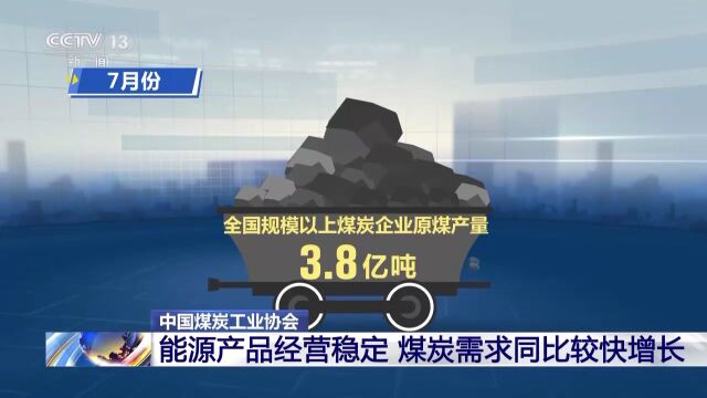 煤炭工业协会:季节性电煤消费较旺盛 国内煤炭需求同比较快增长