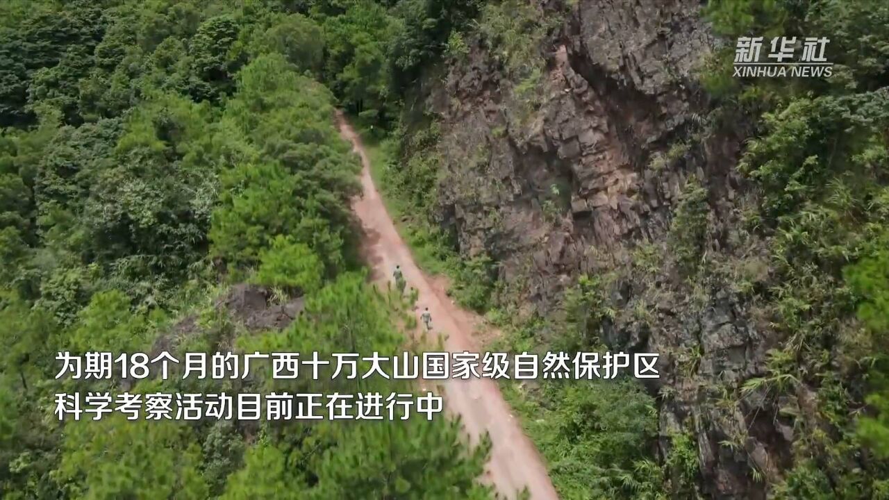 揭开十万大山的神秘面纱