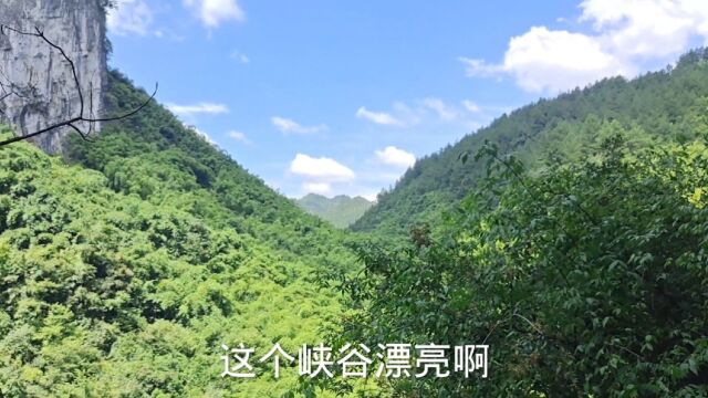 巴喇谷,水清澈见底,风景如画(下)