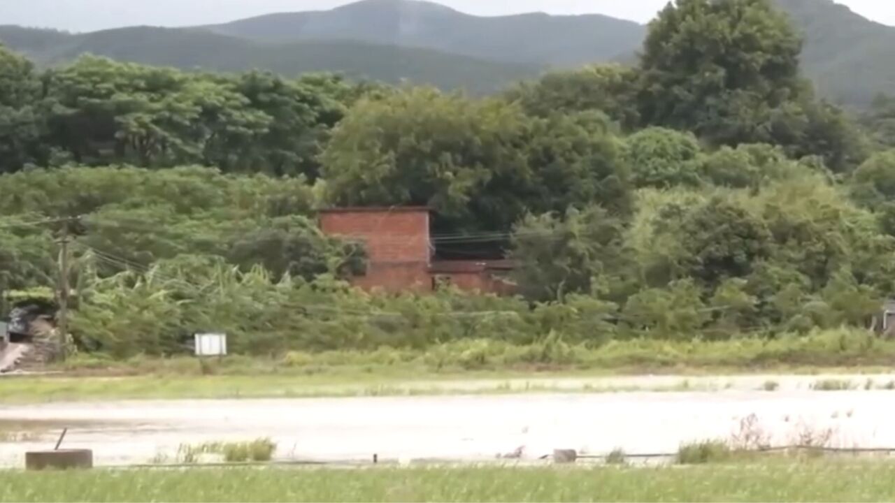 台风“海葵”今早在福建漳州东山县登陆,连续降雨致多处内涝,农田被淹