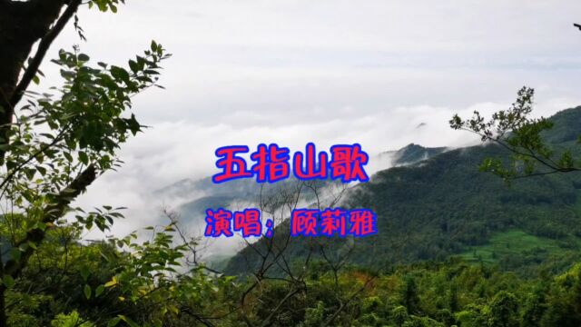 顾莉雅演唱的歌曲《五指山歌》,请欣赏