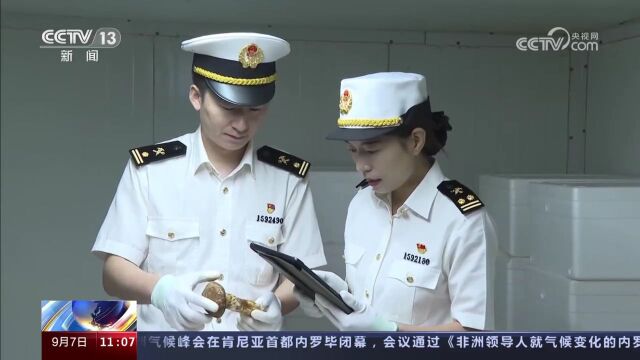 央媒眼中的吉林(2023.9.7)︱沿边开放区位优势不断释放 特色农产品出口持续增长