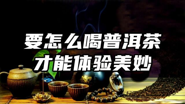 怎么喝普洱茶?才能让它的价值得到最大的发挥,体验到它的美妙? #茶 #茶知识 #茶文化