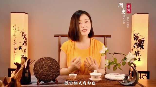 阿曼普洱茶:铜菁河普洱