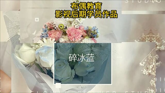 哈尔滨学习视频剪辑培训班课程,布偶教育学员作品赏析!