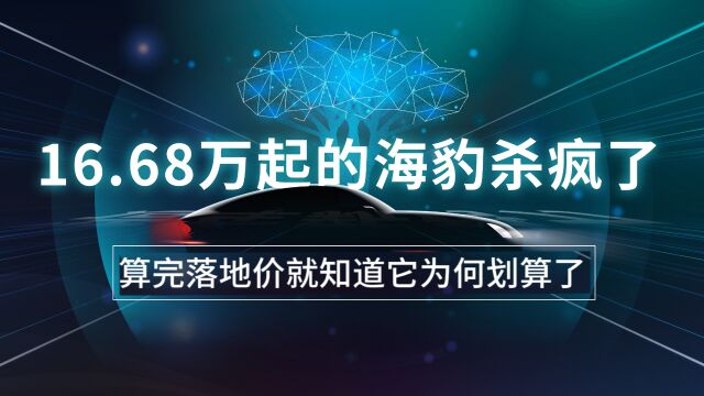 16.68万起的海豹杀疯了,算完落地价就知道它为何划算了!