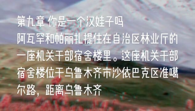 原创长篇小说《天山之恋》第九章