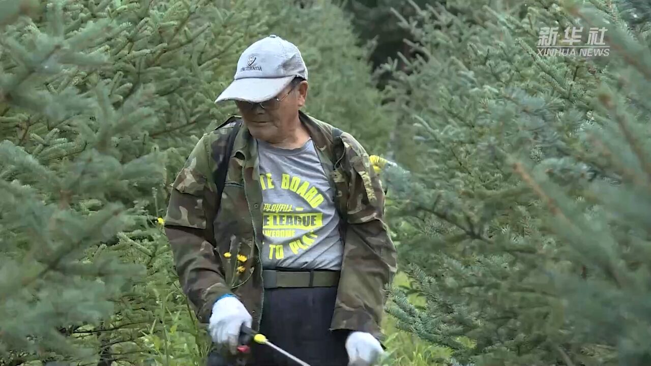 李振海:半生植绿梦 一世林海情