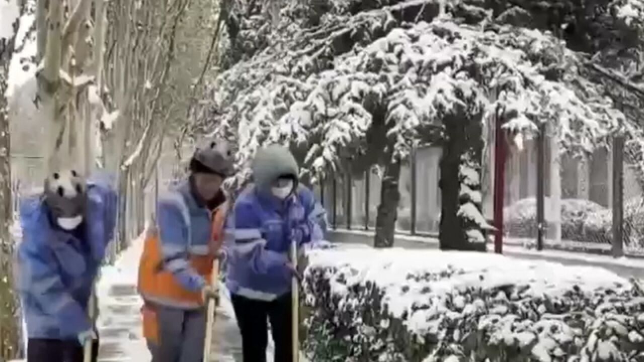 北京普降中到大雪,西部山区局地暴雪