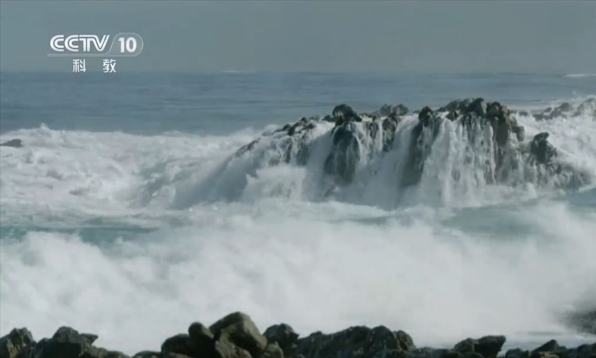 西海岸刮起盛行风,大海滋养着贫瘠的海岸线,影响着植物生长