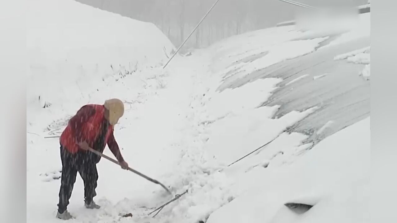 山西河津:降雪影响设施农业,农技人员指导防寒除雪