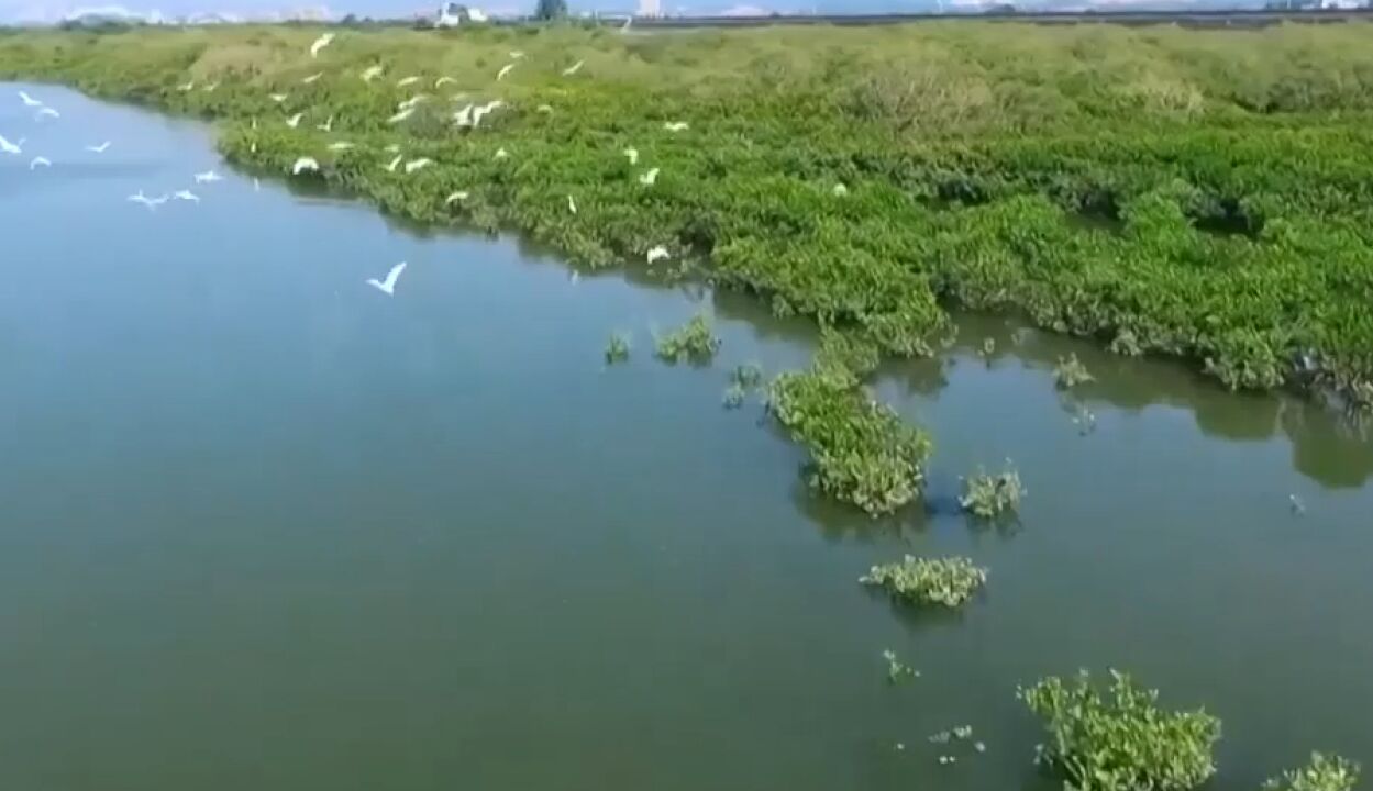 生态环境部:长江黄河干流全线稳定达到Ⅱ类水质