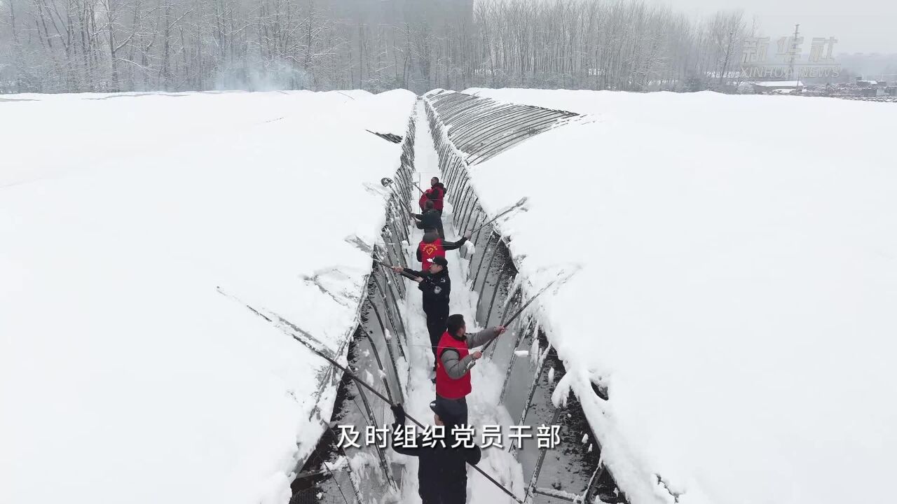 江苏淮安:寒潮降雪来袭 齐心协力保民生