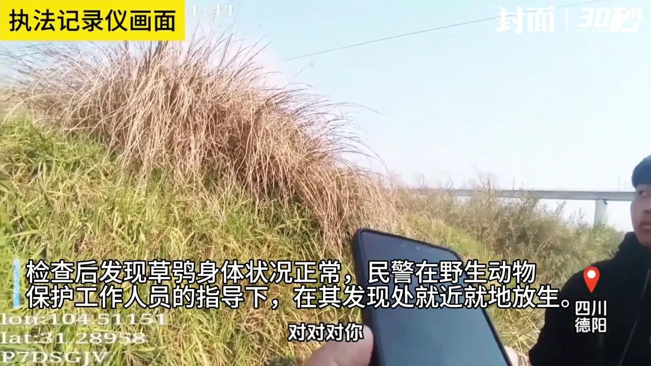 30秒|警民联手救助国家二级保护动物“猴面鹰”