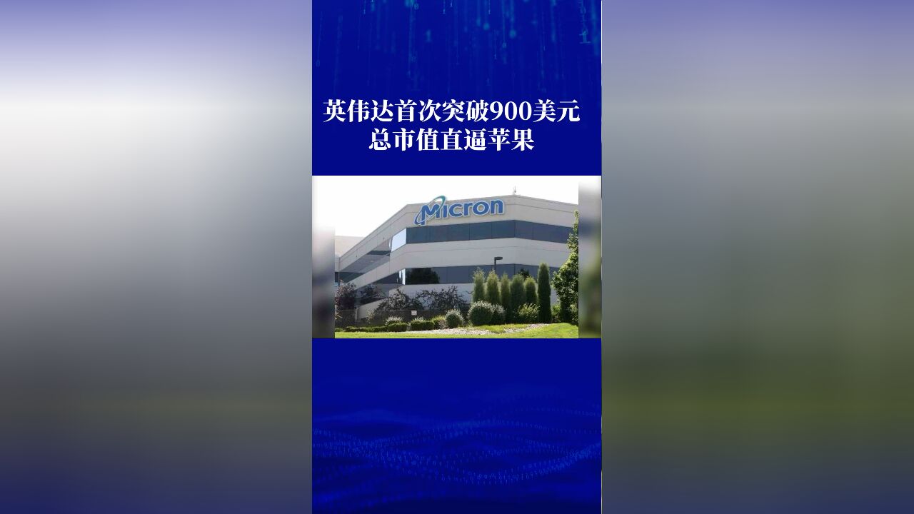 英伟达首次突破900美元 总市值直逼苹果