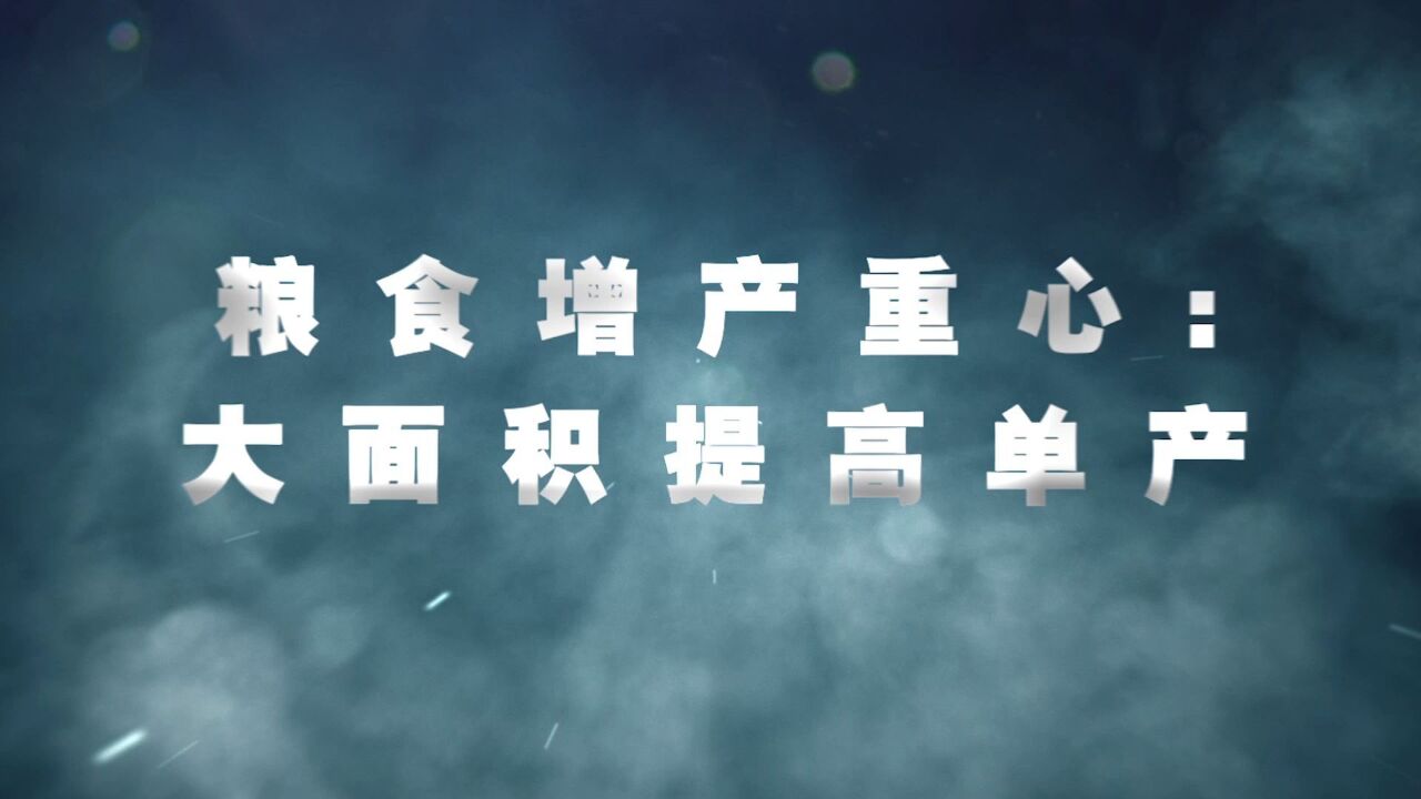 2024年中央一号文件精神解读:确保国家粮食安全