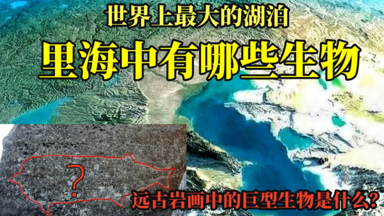 生活在里海的远古巨型生物究竟是什么?揭开里海独特物种之谜