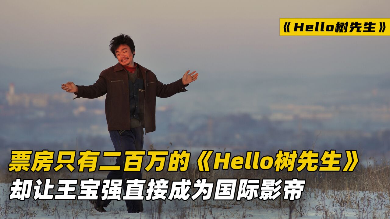 票房只有二百万的《Hello树先生》,却让王宝强一跃成为国际影帝!