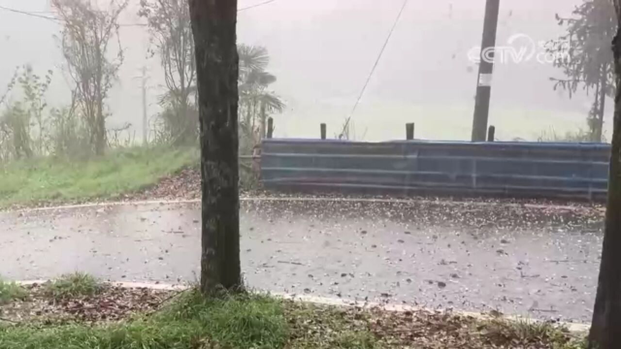 江西重大气象灾害暴雨应急响应升至二级,江西省气象台发布暴雨橙色预警