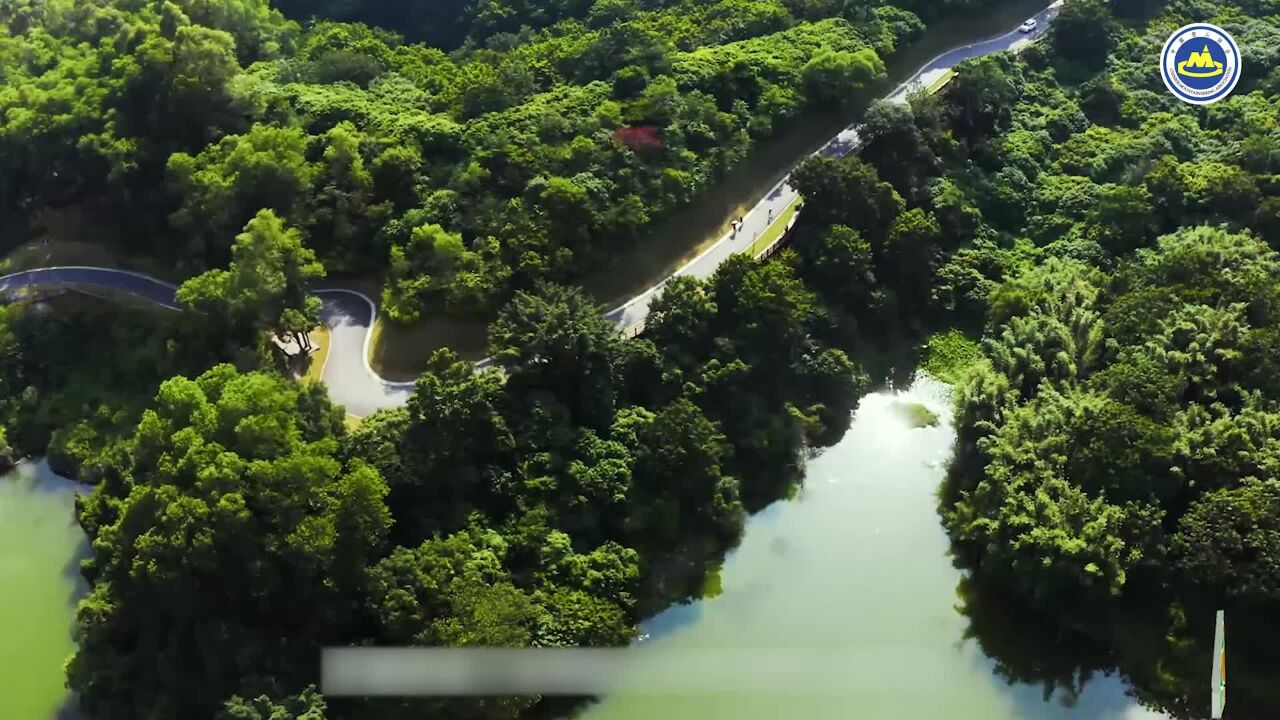 逐梦巅峰|中国登山协会带你了解“国家登山健身步道”