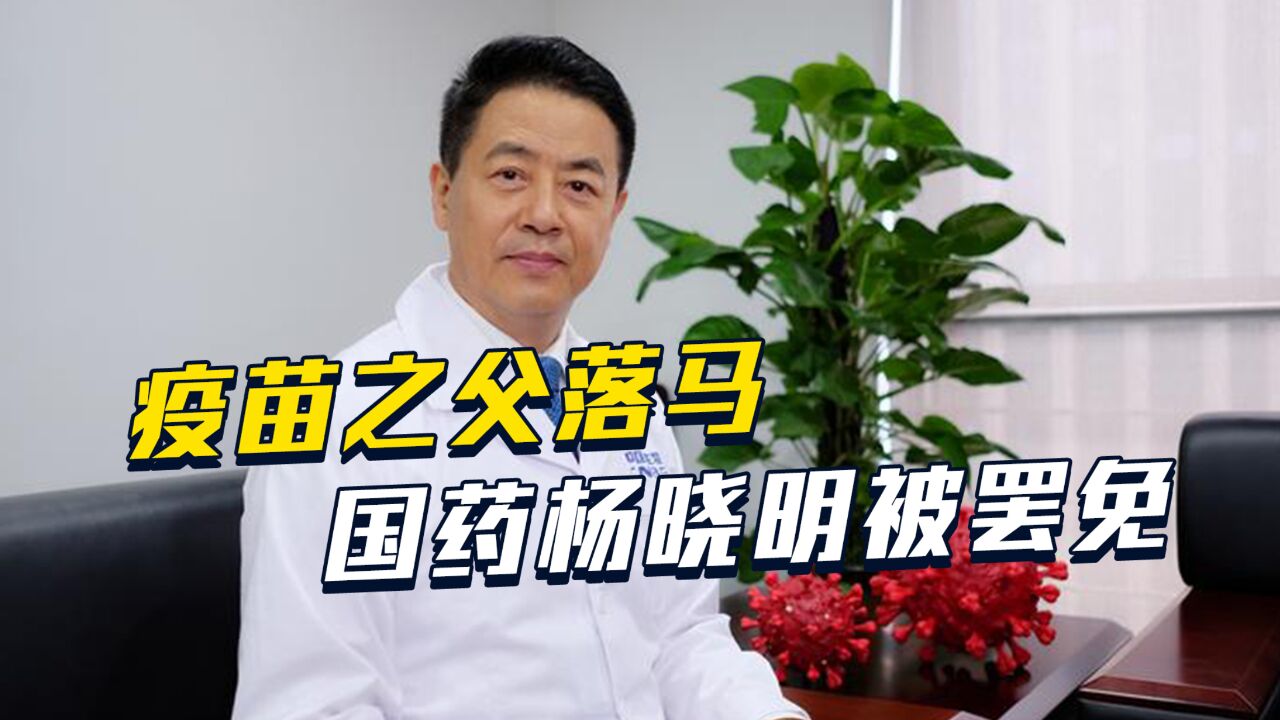 疫苗之父落马,国药杨晓明被罢免,医药反腐仍继续