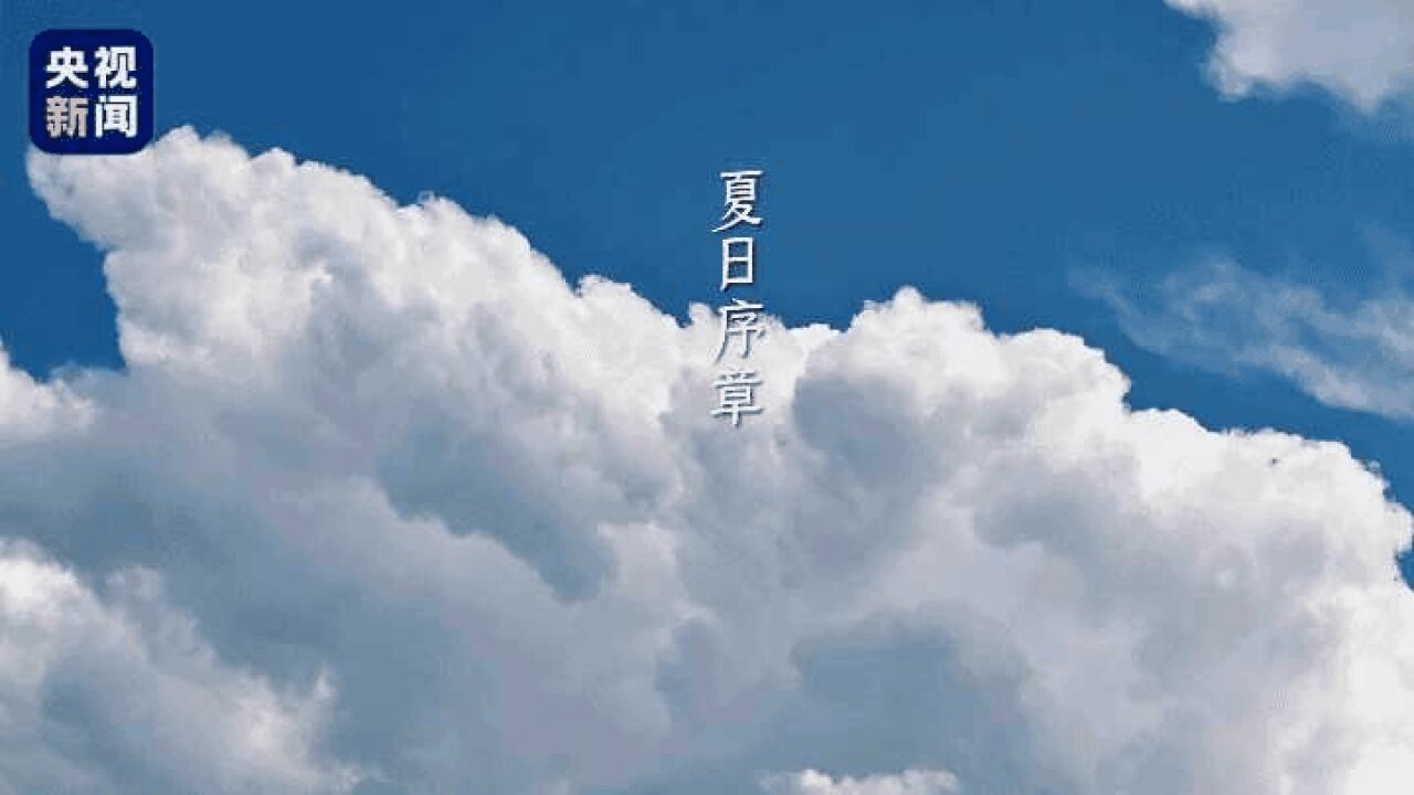 听!夏天的序章奏响了☁