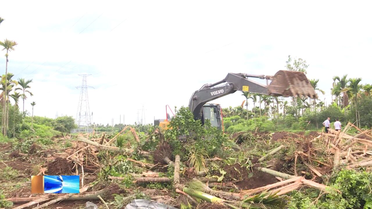 我市依法清理市政道路工程项目两户村民青苗及地上附属物