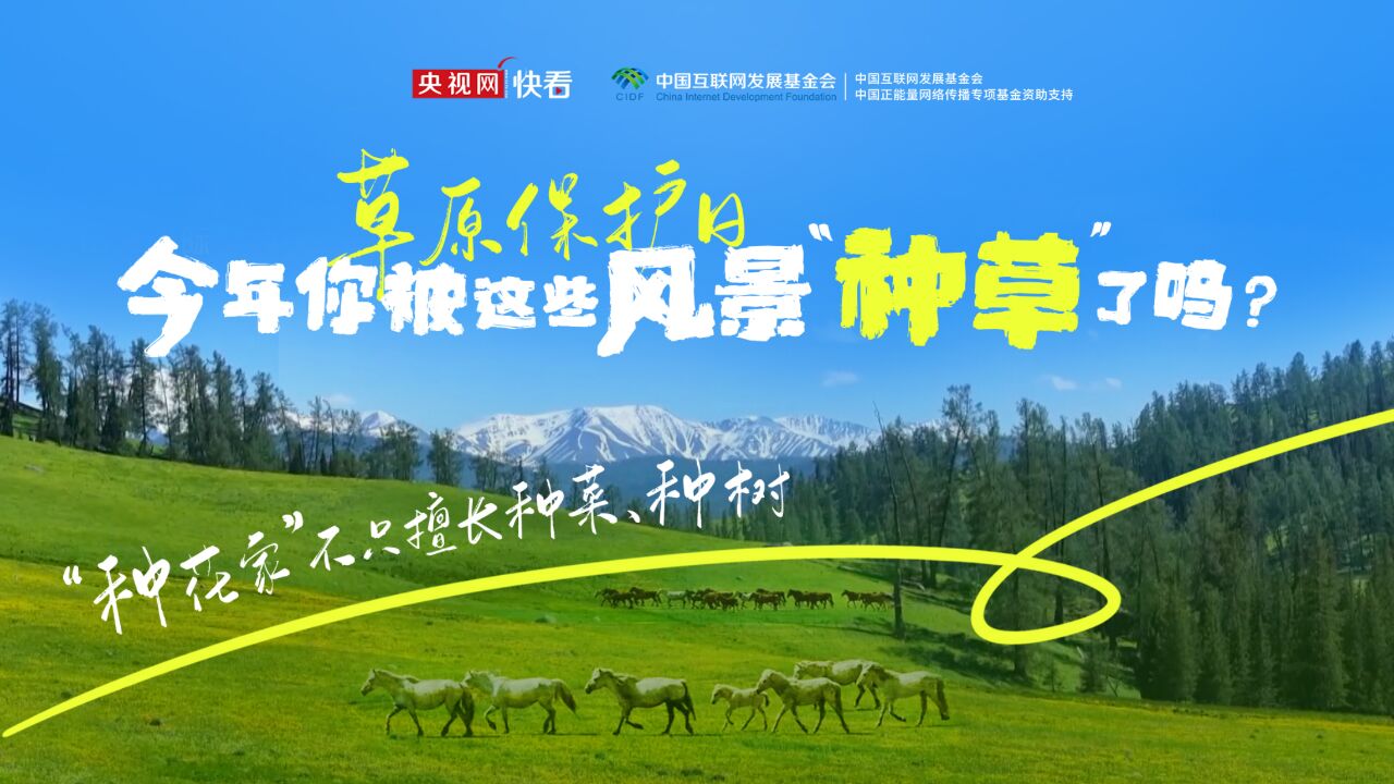 全国草原保护日 | 今年你被这些风景“种草”了吗?