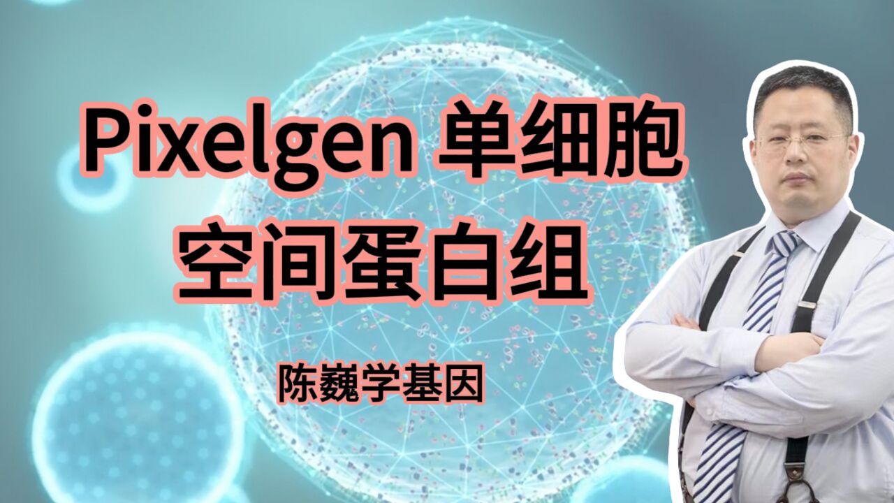 【陈巍学基因】视频128:Pixelgen 单细胞空间蛋白组