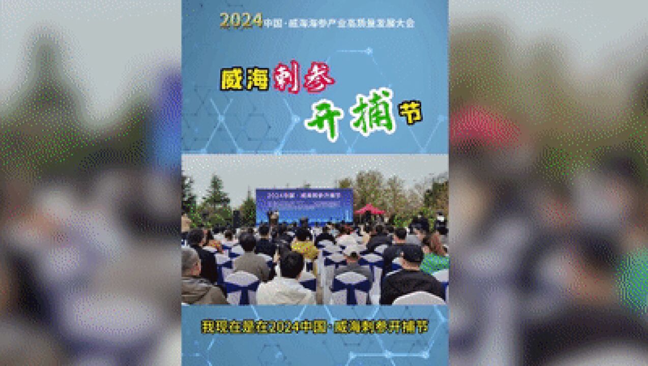 Hi视频丨个头大、卖相佳!现场感受威海刺参的肥美