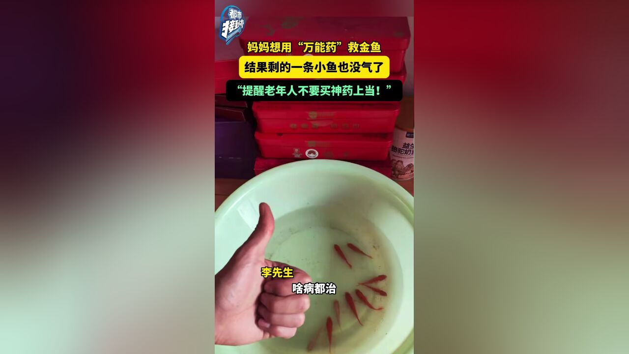 妈妈想用“万能药”救金鱼 结果剩的一条小鱼也没气了