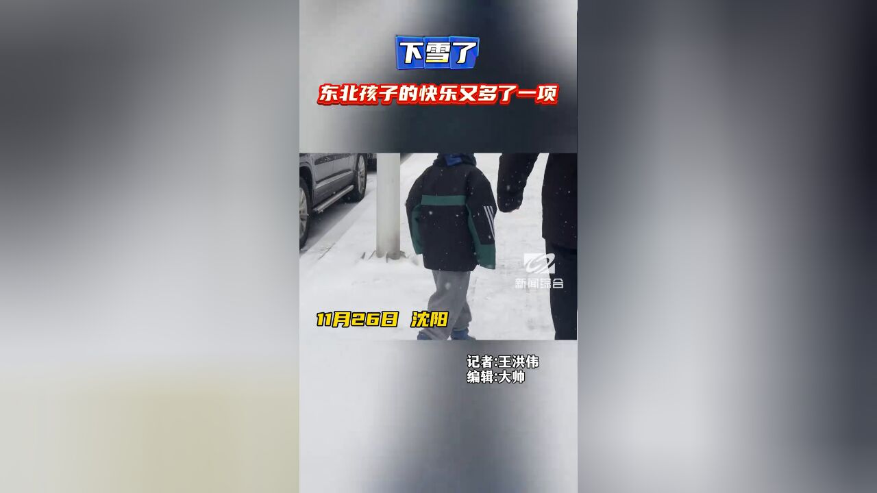 下雪了,东北孩子的快乐又多了一项!