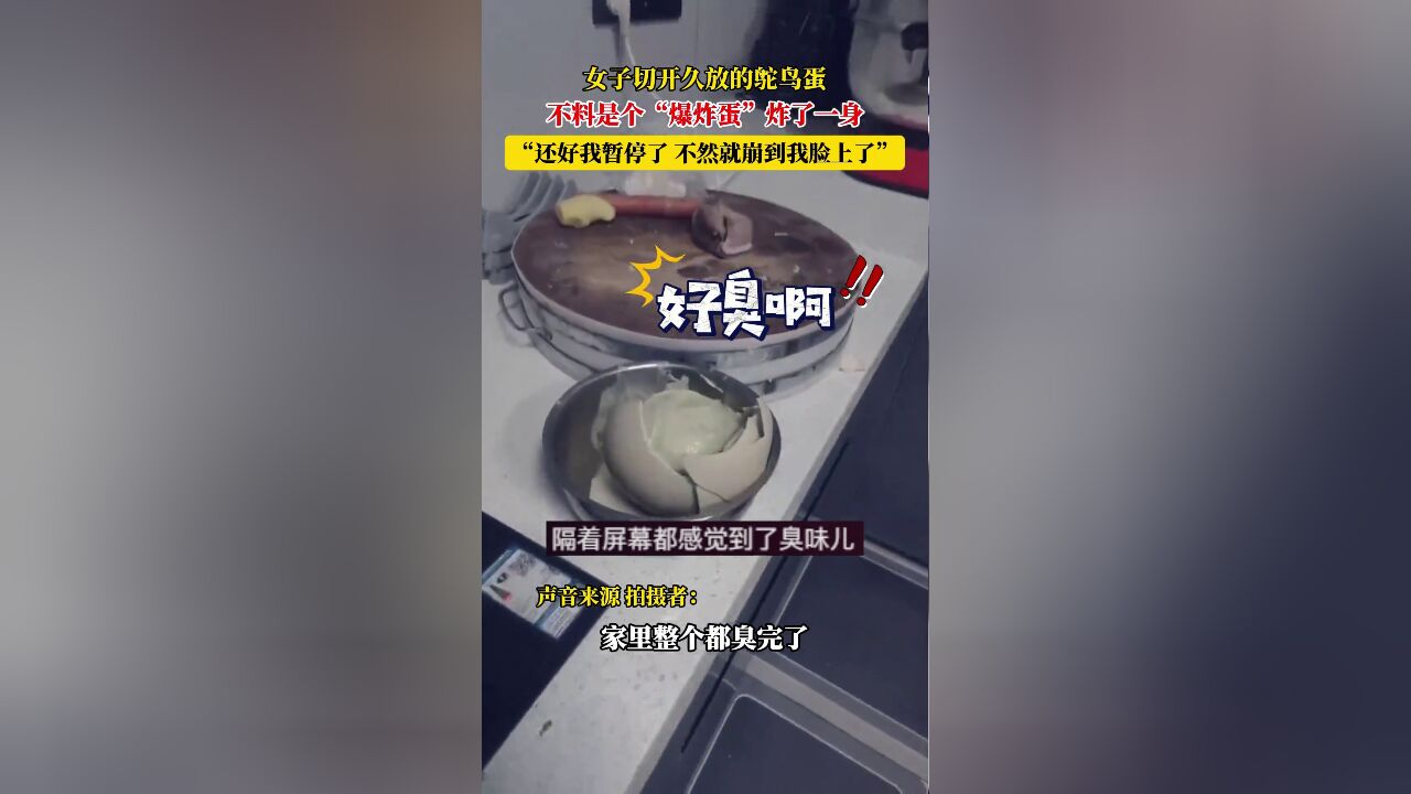 女子切开久放的鸵鸟蛋,不料是个“爆炸蛋”,炸了一身