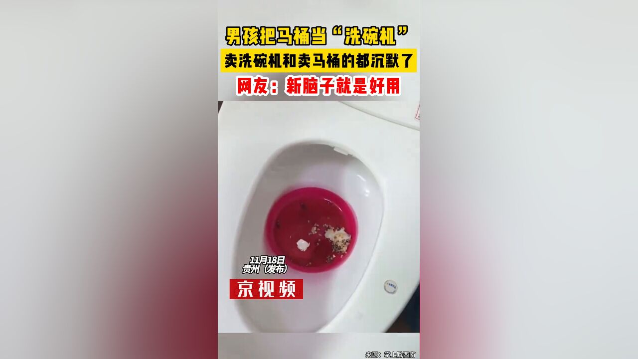 男孩把马桶当“洗碗机”,网友:卖洗碗机和卖马桶的都沉默了