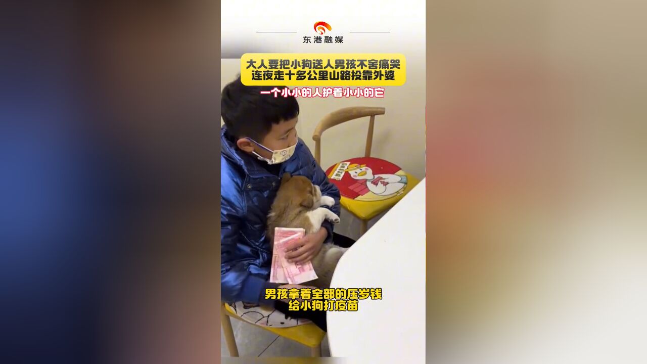 大人要把小狗送人男孩不舍痛哭 连夜走十多公里山路投靠外婆