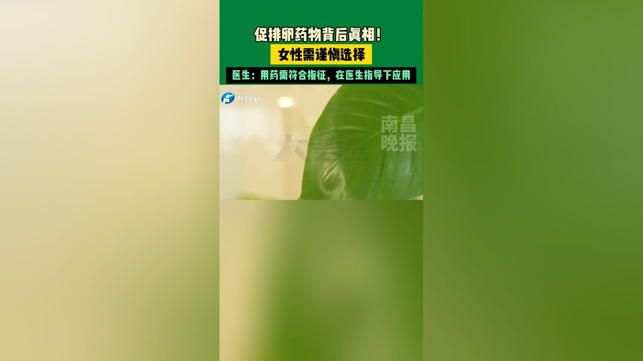 促排卵药物背后真相!女性需谨慎选择,医生:用药需符合指征,在医生指导下应用