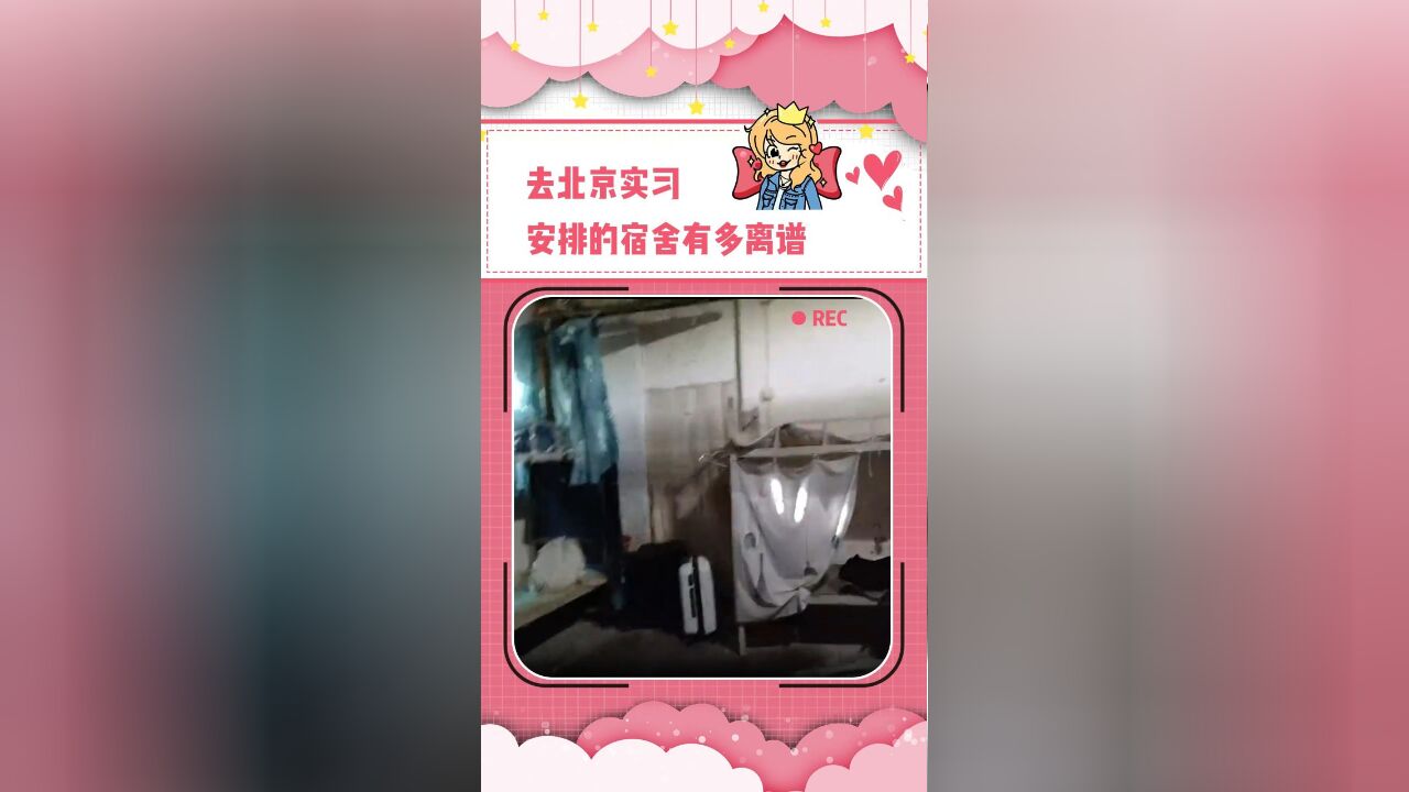 这是住进公共厕所下水道了嘛