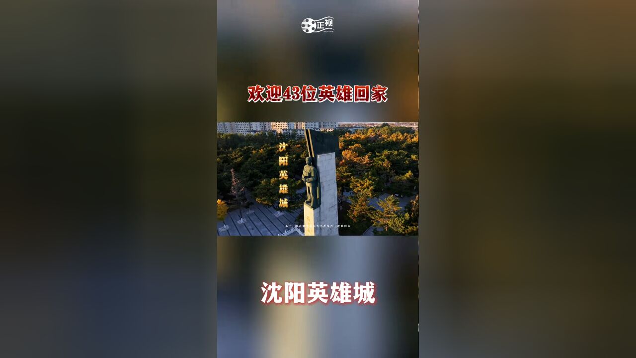 欢迎43位英雄回家