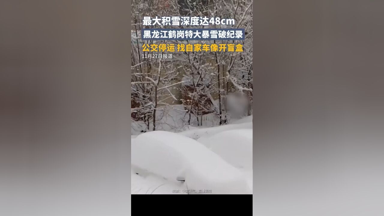 最大积雪深度达48厘米!黑龙江鹤岗特大暴雪破纪录,部分公交停运,找自家车像开盲盒