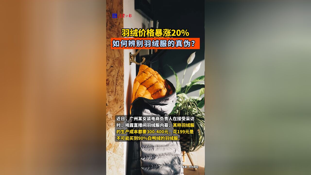 羽绒价格暴涨20%,如何辨别羽绒服的真伪?