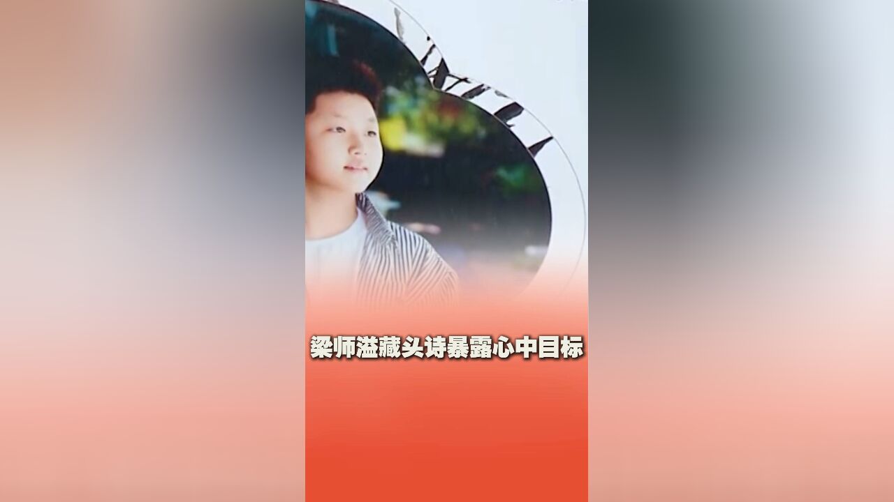 12岁少年出个人诗集,藏头诗暴露小目标